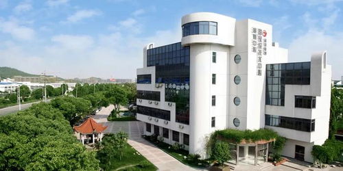 金田銅業上市鑄就財富傳奇 樓國強家族身價超70億，親屬股東網絡引關注